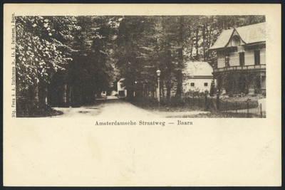 16965 Gezicht in de Amsterdamsestraatweg te Baarn.